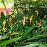 Hidden Eden Aruba Bed And Breakfast
