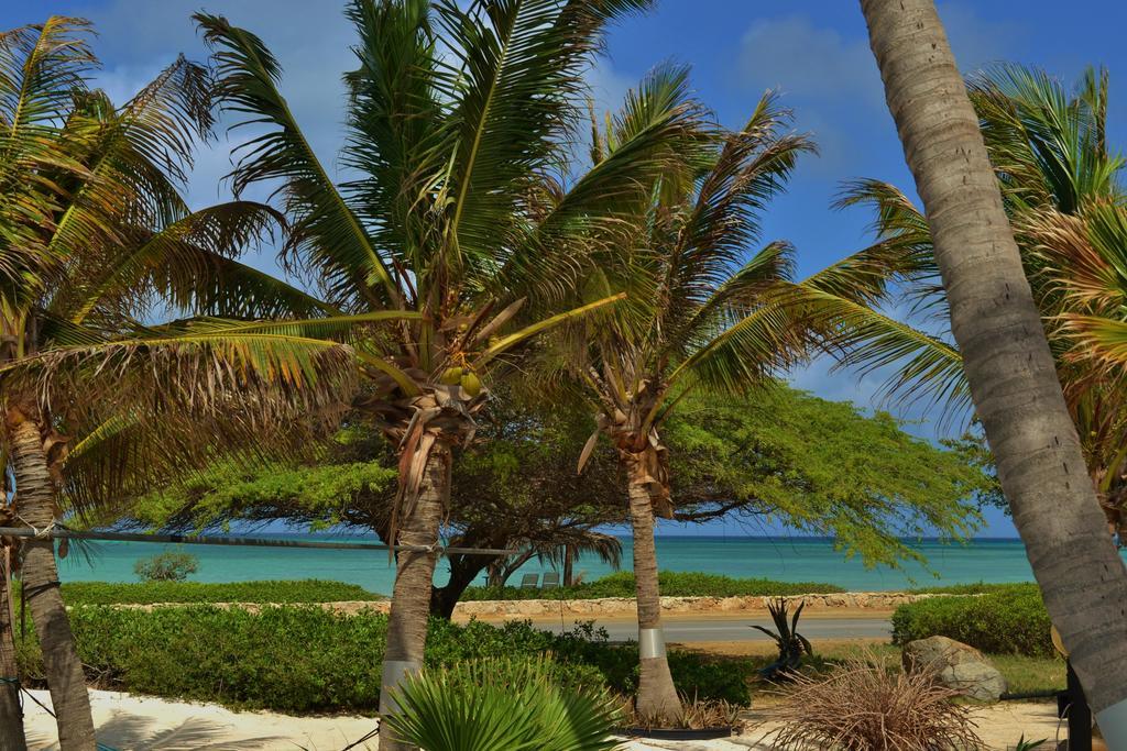 Apartment Beach House Aruba Apartments Palm Beach