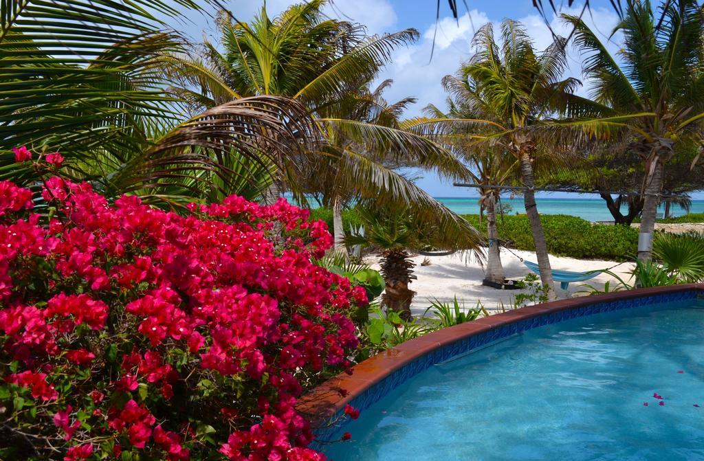 Apartment Beach House Aruba Apartments
