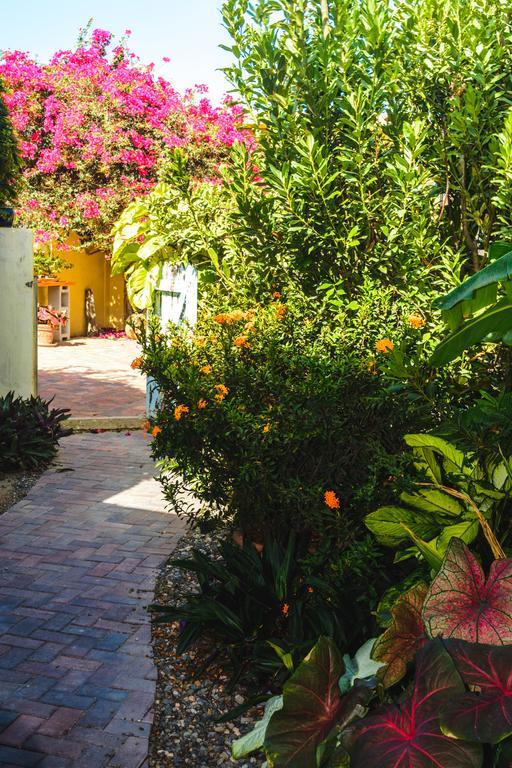 Acomodação com café da manhã  Hidden Eden Aruba Bed And Breakfast 3*