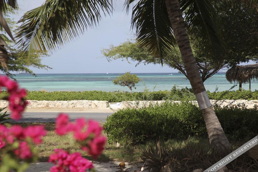 Apartment Beach House Aruba Apartments *