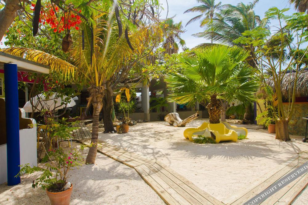 Apartment Beach House Aruba Apartments