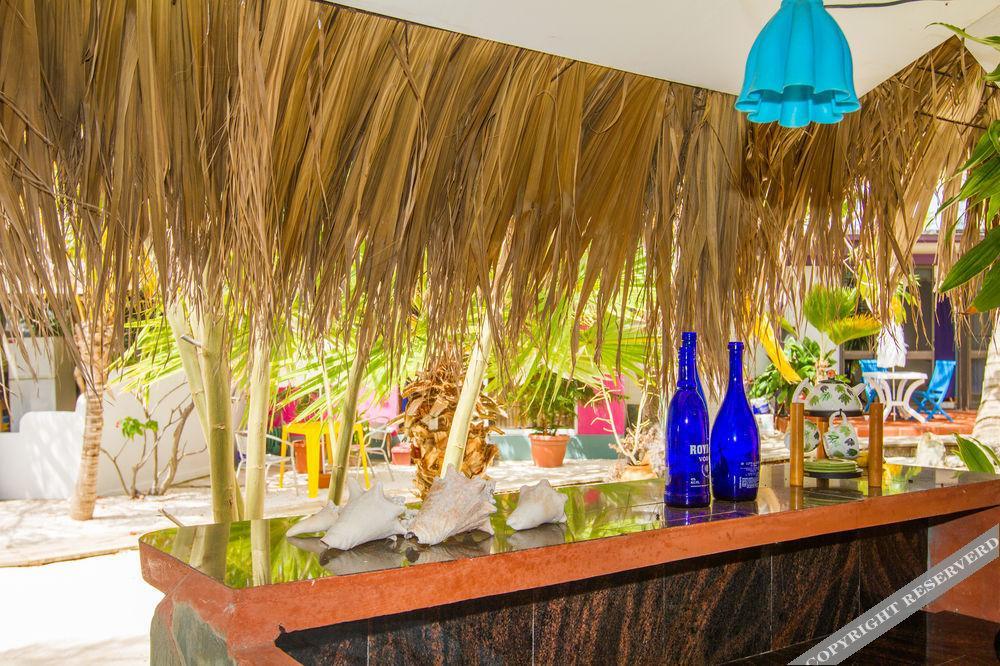 Beach House Aruba Apartments Palm Beach