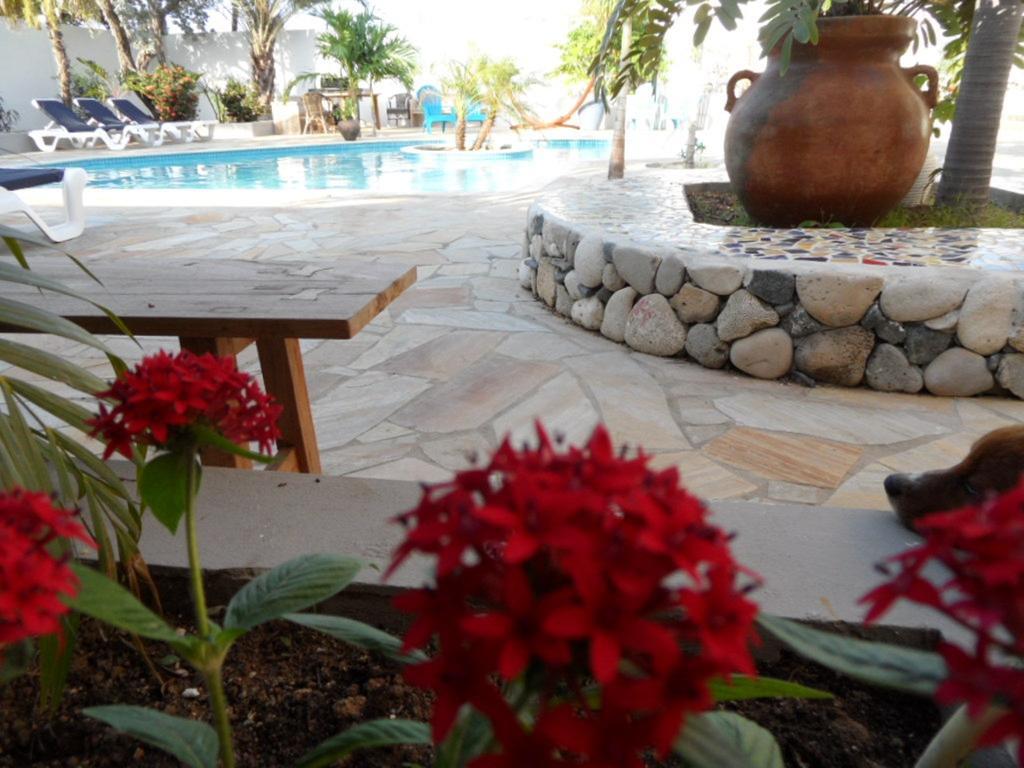 Bed & Breakfast Mangooz Oranjestad