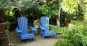 Acomodação com café da manhã  Hidden Eden Aruba Bed And Breakfast Oranjestad