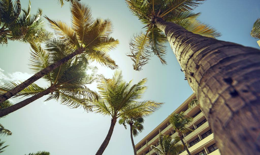 Resort Barcelo Aruba 4*