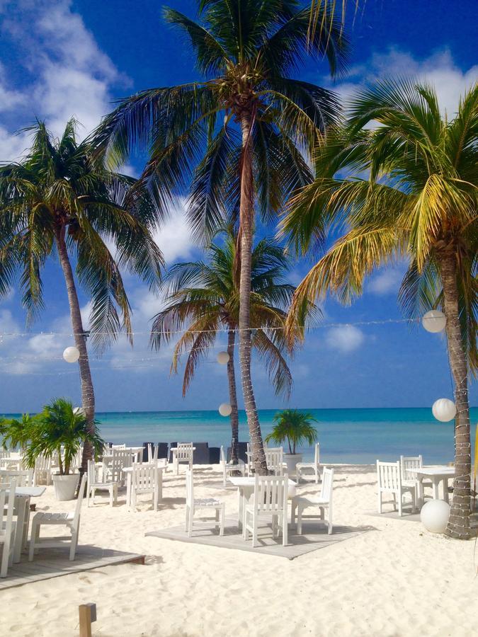 Resort Divi Village Golf And Palm Beach