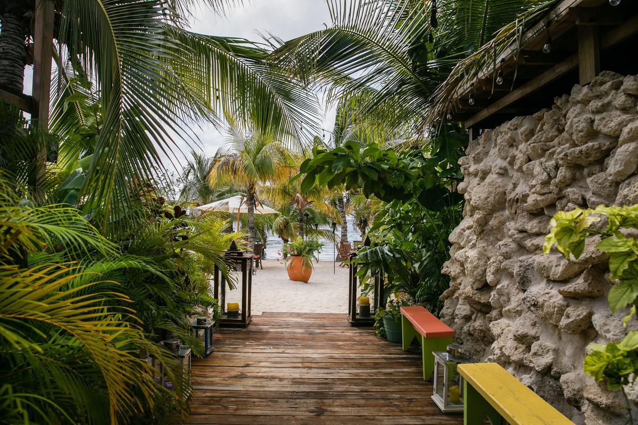 The Old Man And The Sea Villa *
