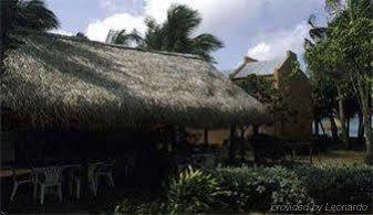 - Divi Dutch Village Resort 4*