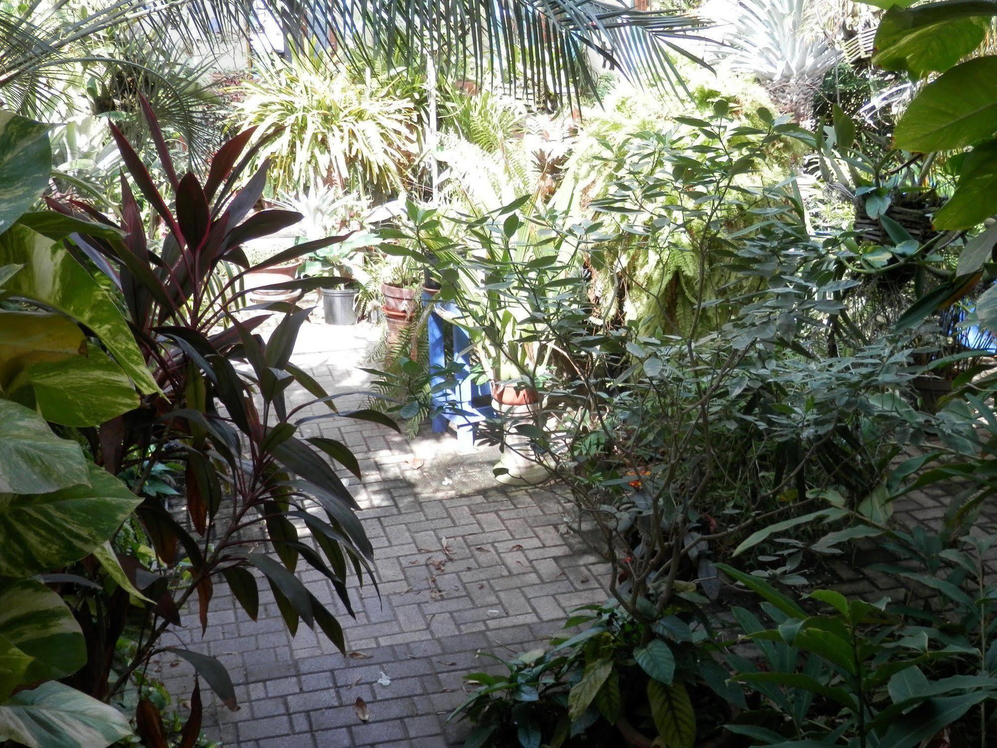 Acomodação com café da manhã  Hidden Eden Aruba Bed And Breakfast Oranjestad