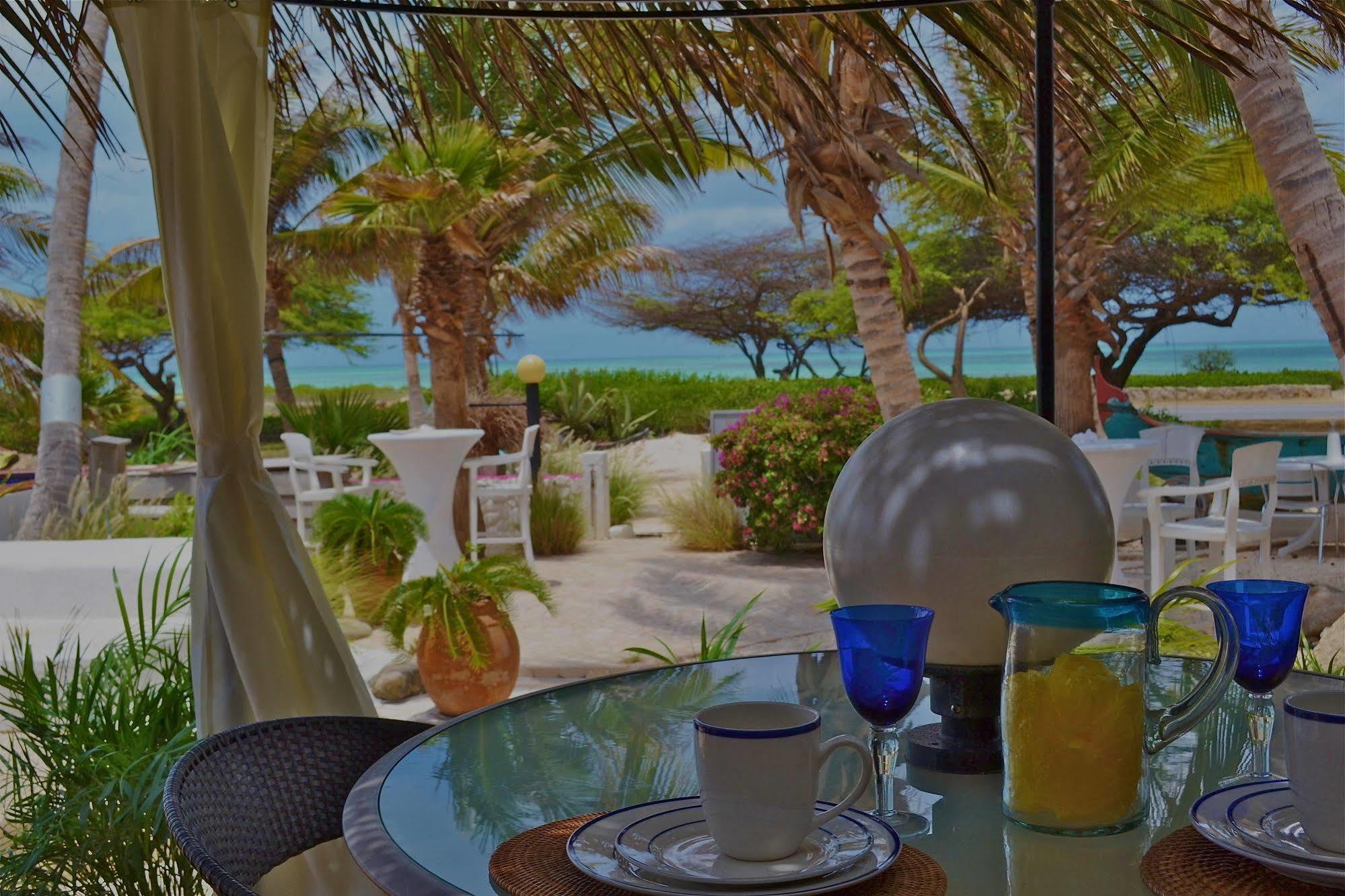 Beach House Aruba Apartments Apartment Palm Beach