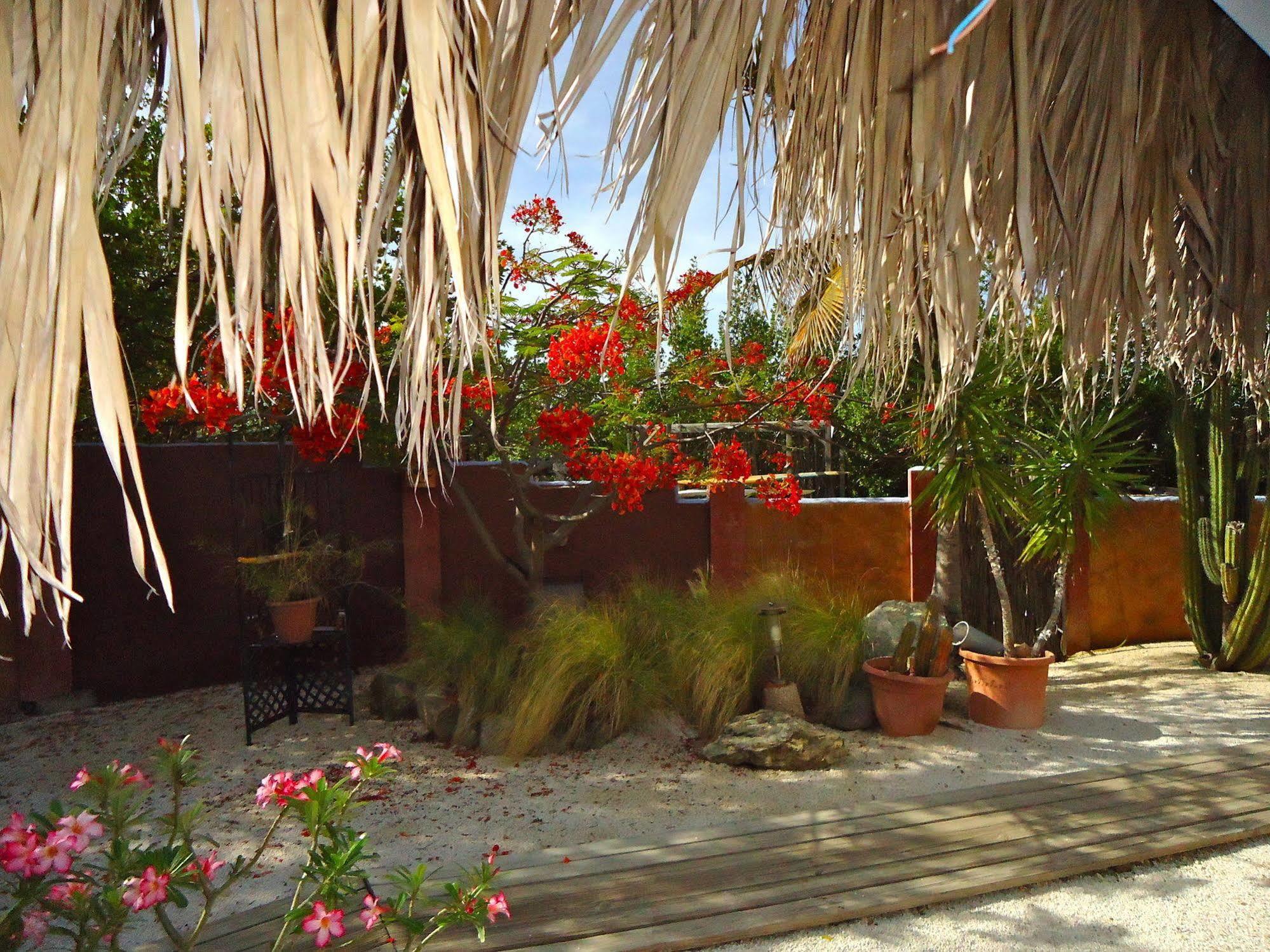 Beach House Aruba Apartments *
