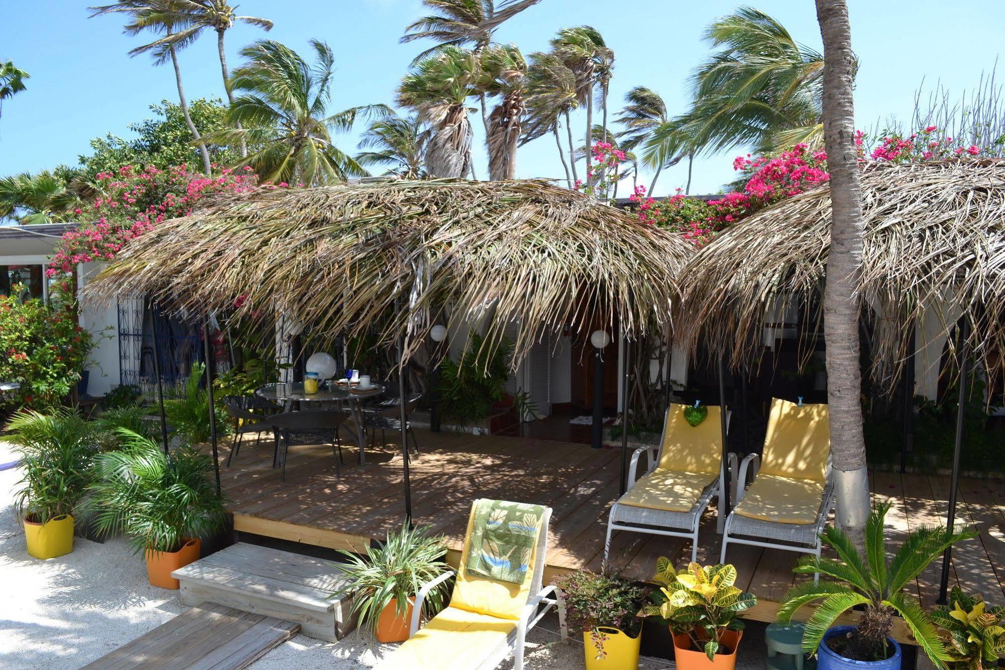Apartment Beach House Aruba Apartments
