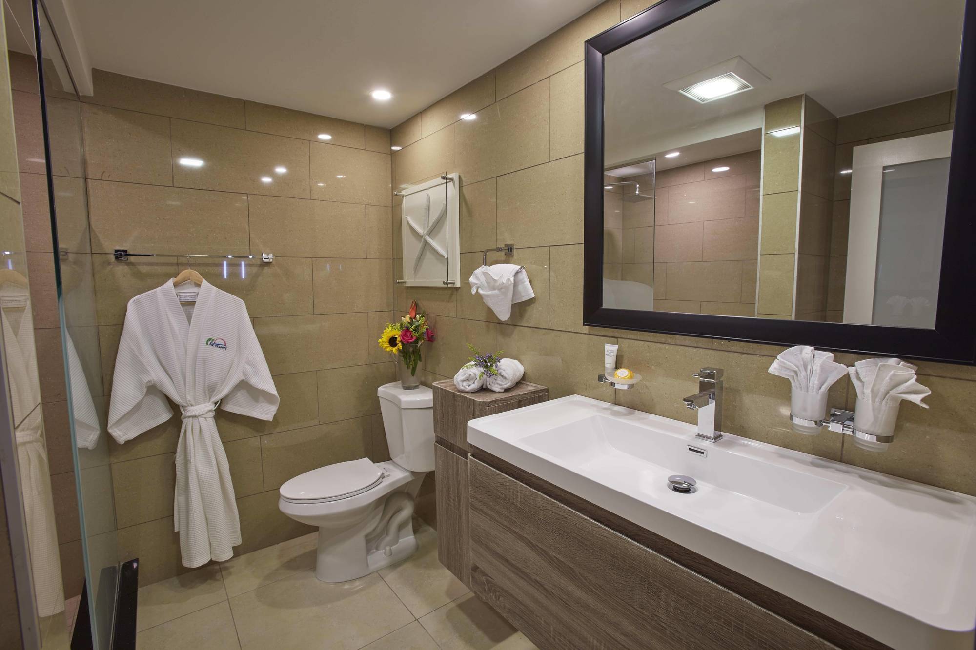 - Divi Dutch Village Resort Oranjestad