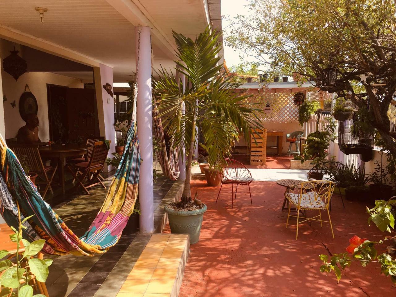 Homestay Magical Garden *