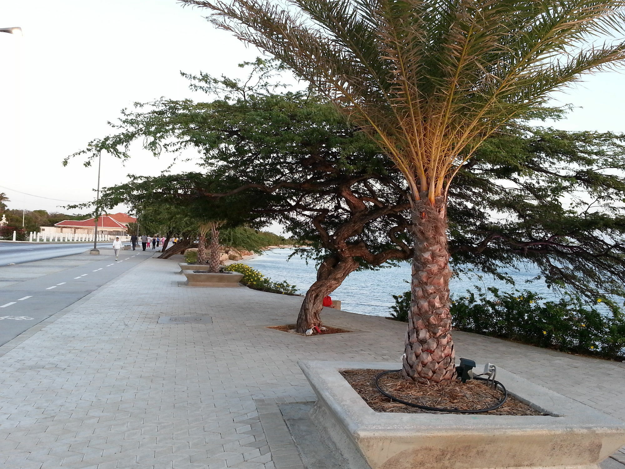 Aparthotel Le Chateau Ocean 4*