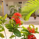 Montana Eco Resort Aruba