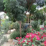 Mangooz Guesthouse