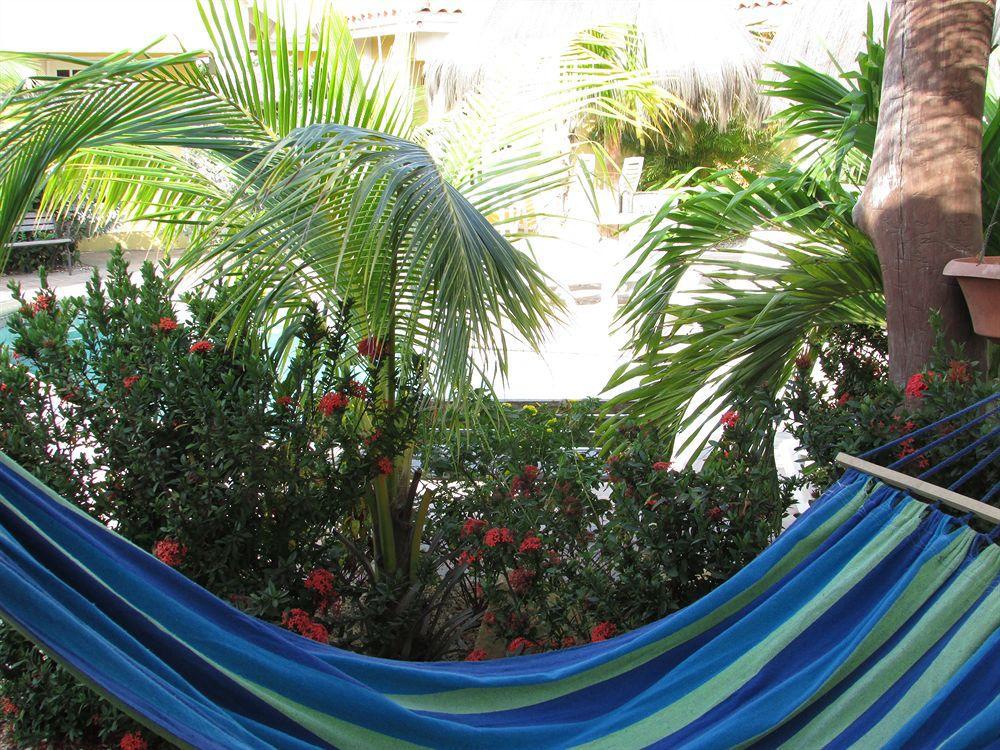 Aruba Tropic * Noord