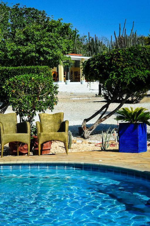 Paradise & Apartment