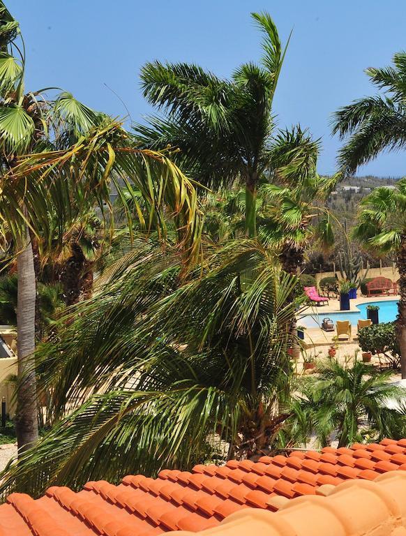 Apartment Paradise & Oranjestad