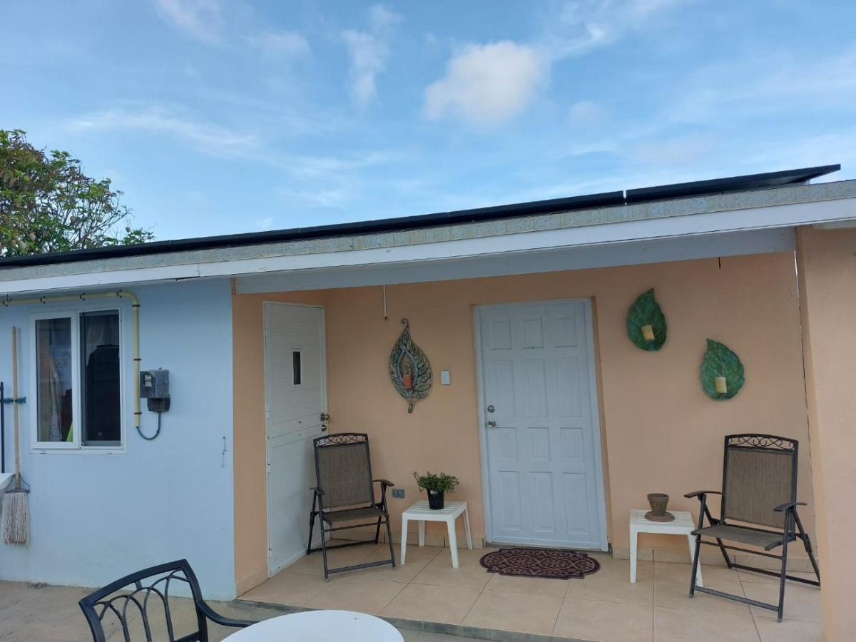 Olive's Oranjestad