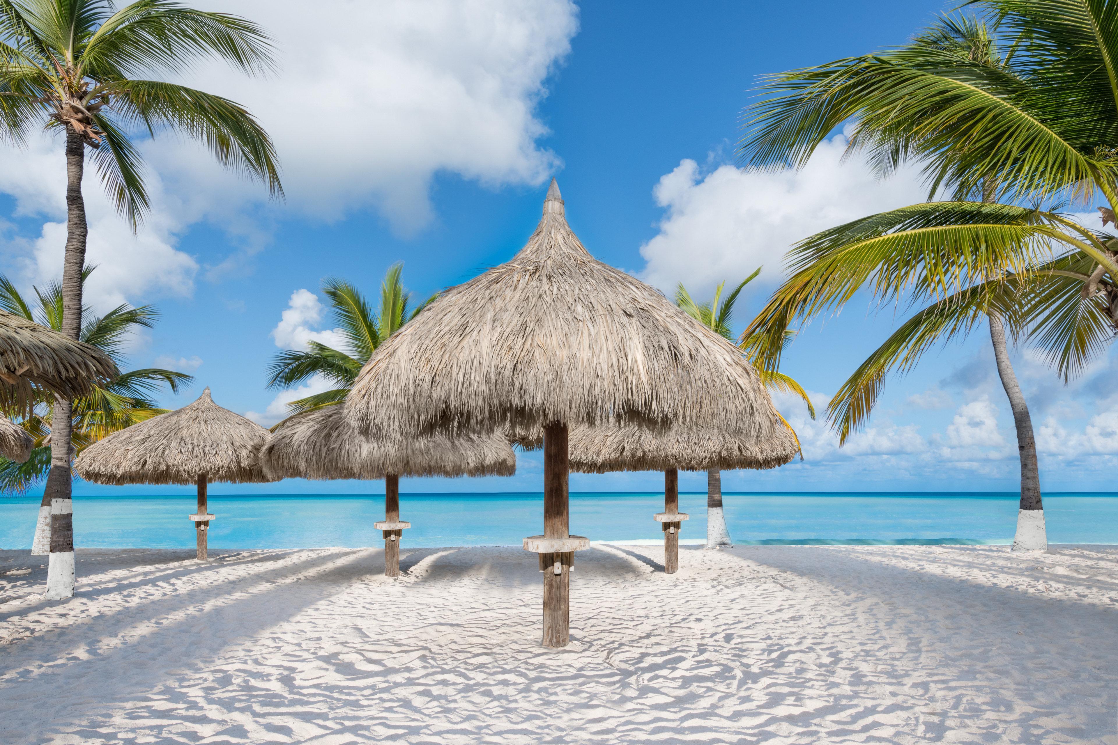 Aruba - & Casino By Ihg Resort Palm Beach