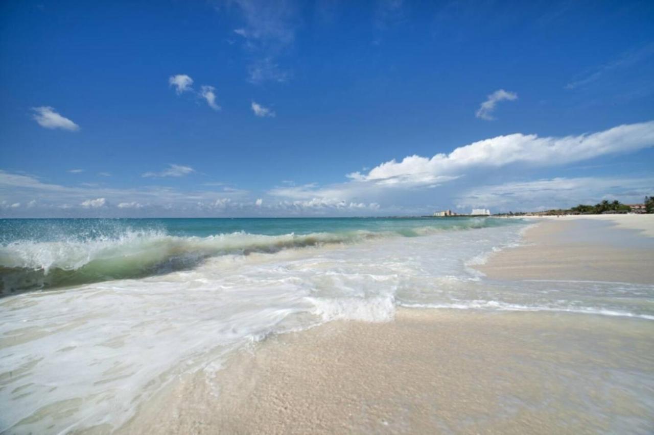Breath Taking Front Views Eagle * Palm Beach