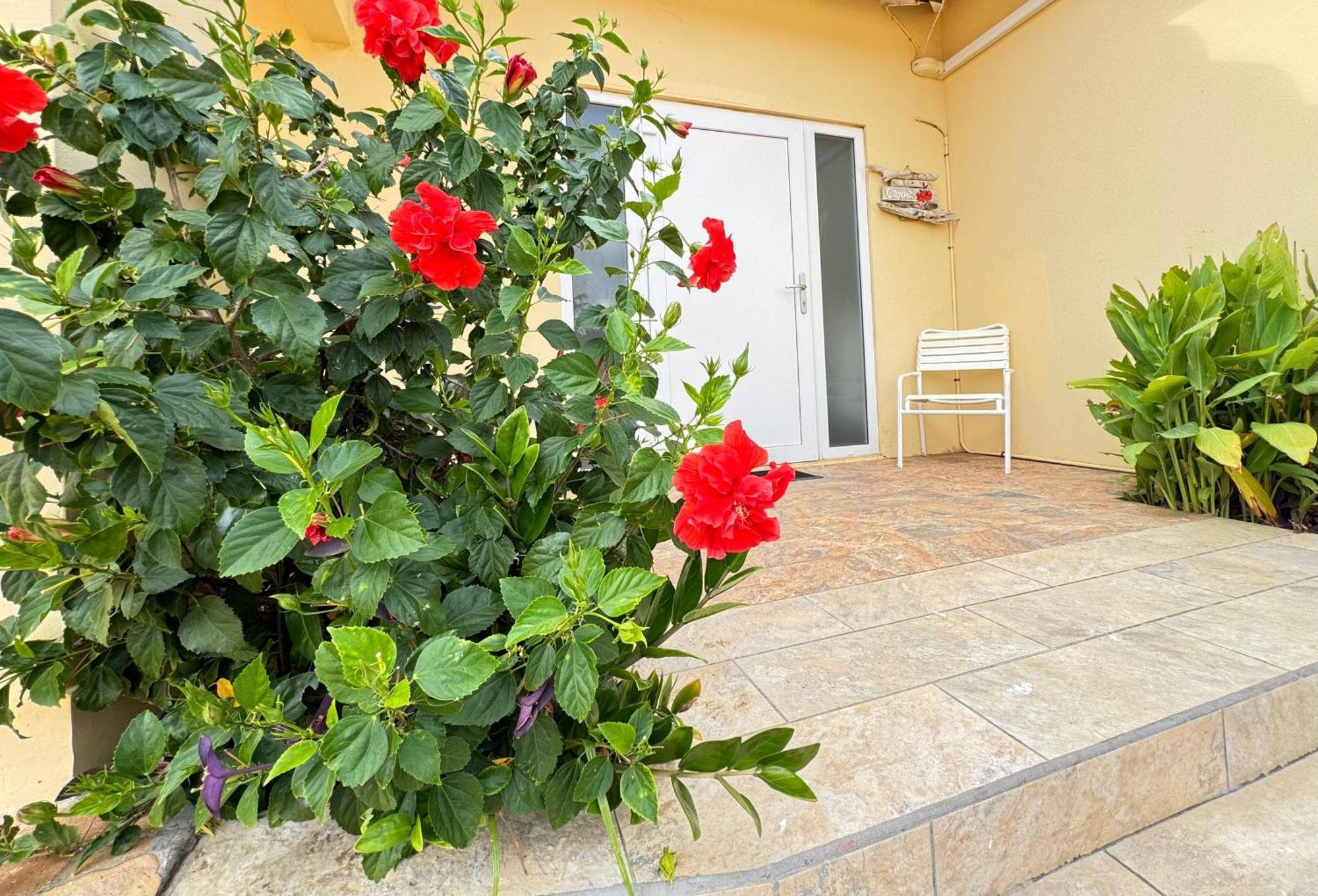 Apartment Casalina Garden 2 Blocks To Palm & Kitesurfing School *