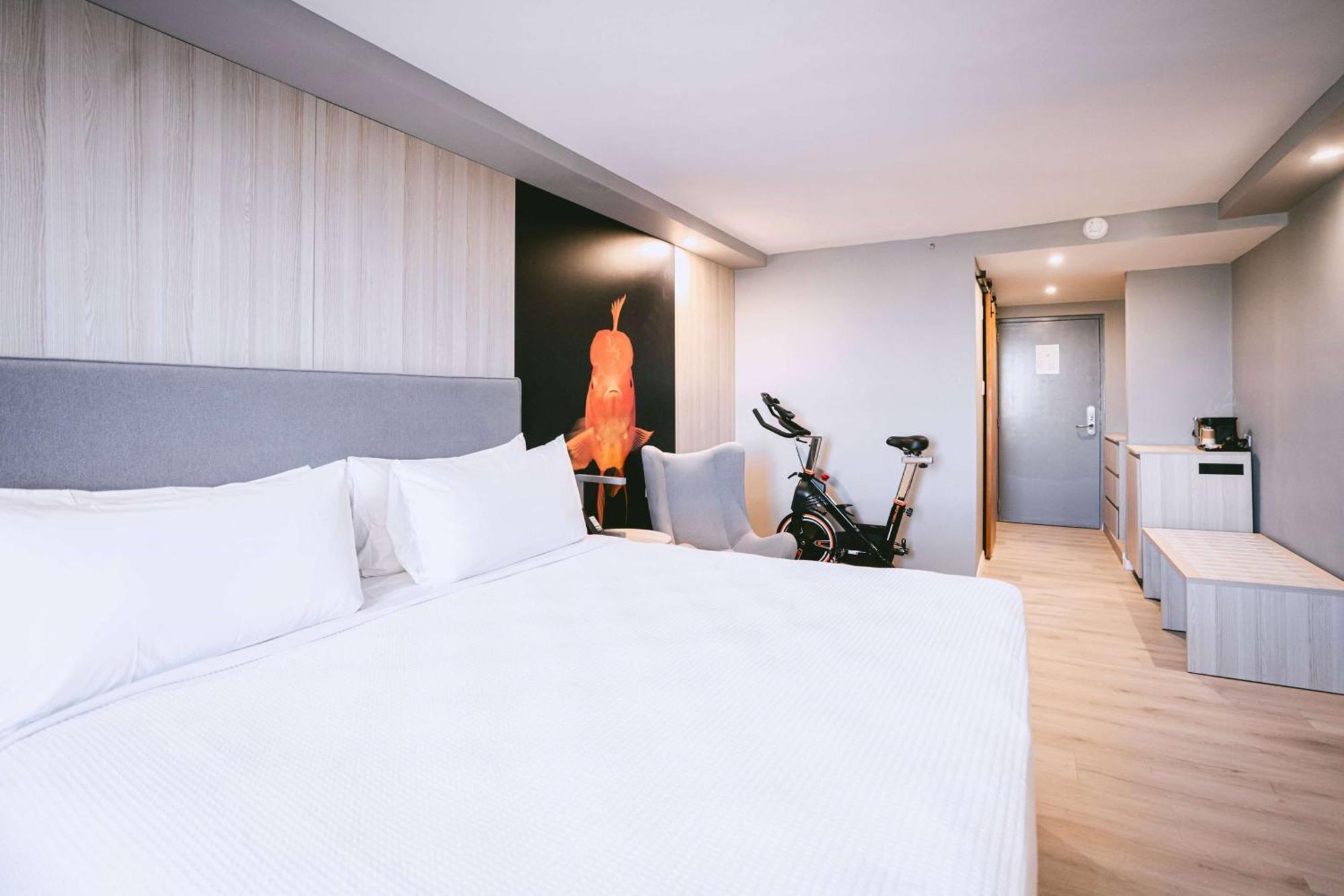 Hotel Tryp By Wyndham Aruba Adults Only Palm Beach