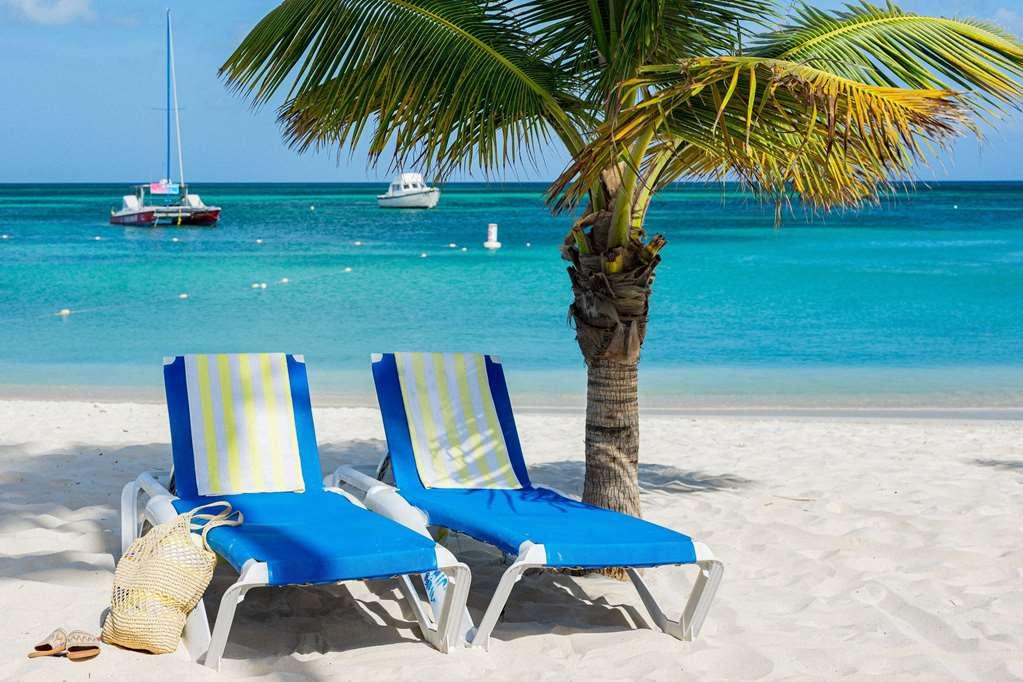 Tryp By Wyndham Aruba Adults Only Hotel 3*