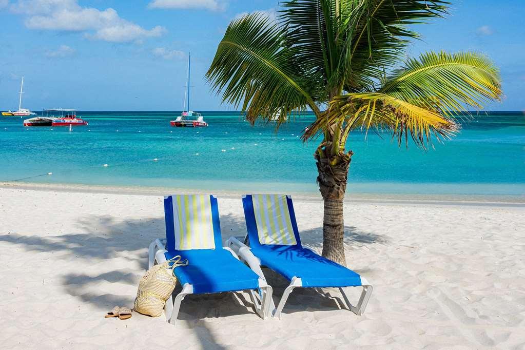 Tryp By Wyndham Aruba Adults Only 3*