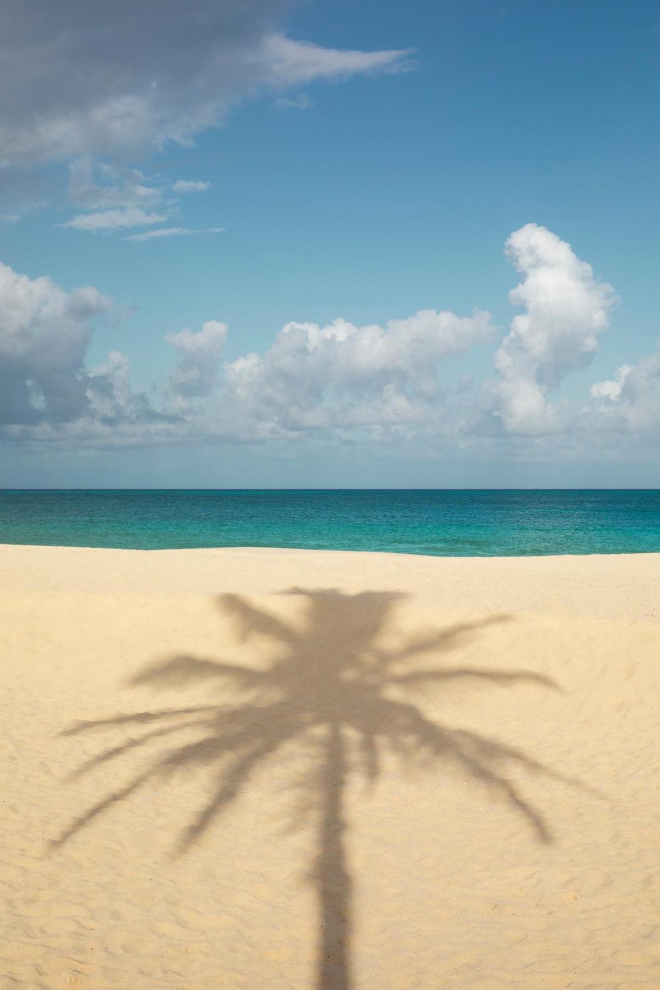 Joia Aruba By Iberostar 5* Palm Beach