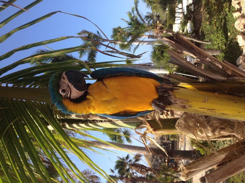 Apartment Paradise & Oranjestad
