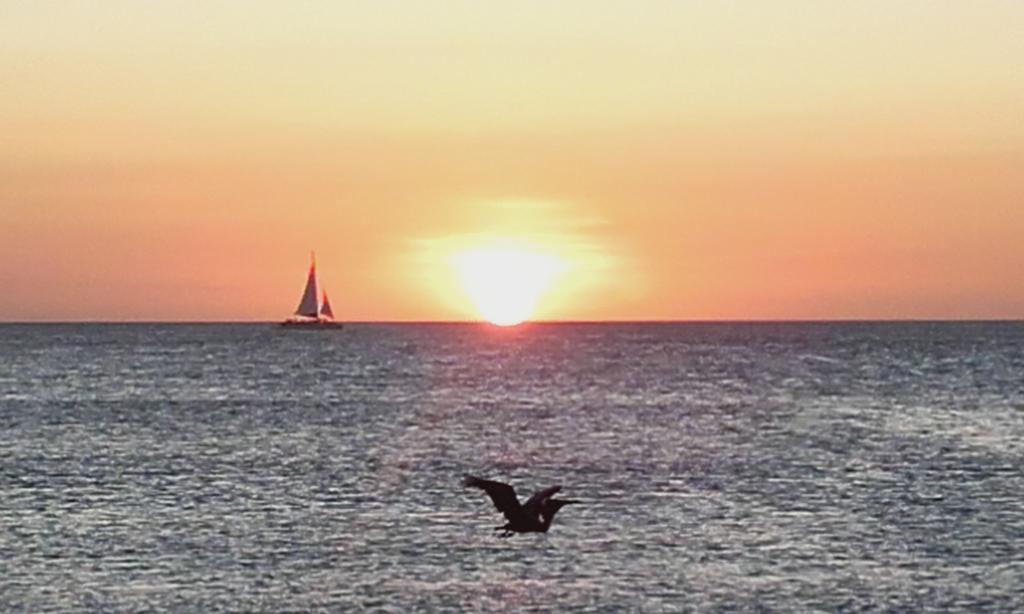 Easylife Aruba *