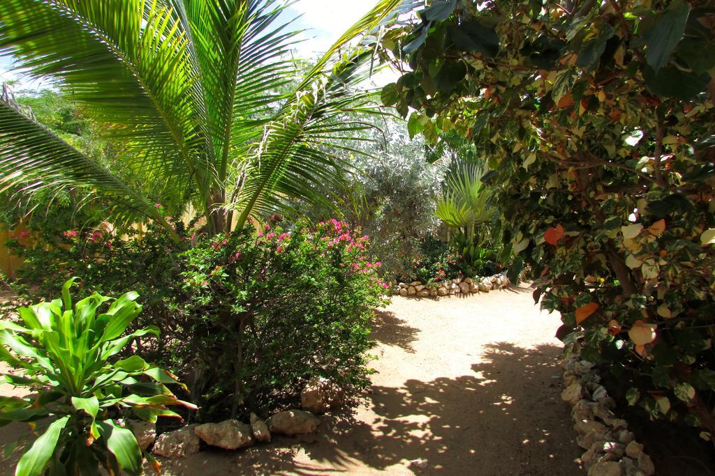 Du Laurence Oranjestad