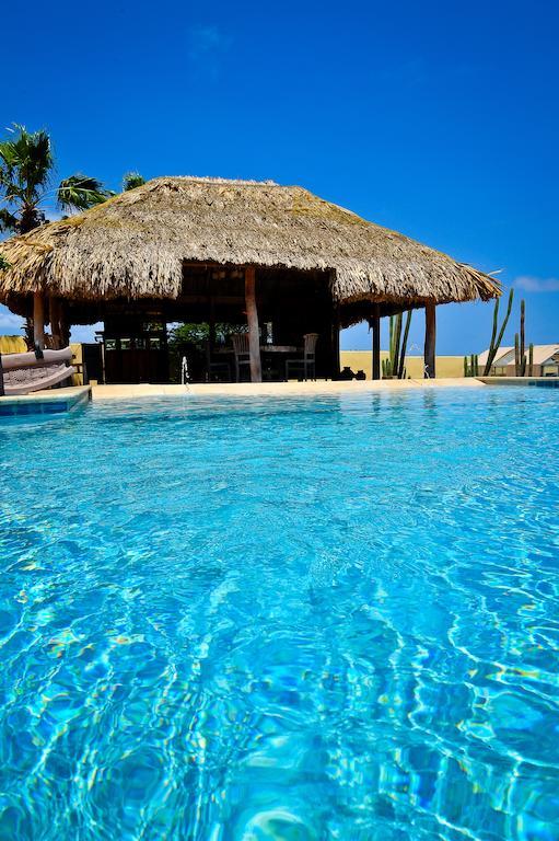 Paradise & Apartment