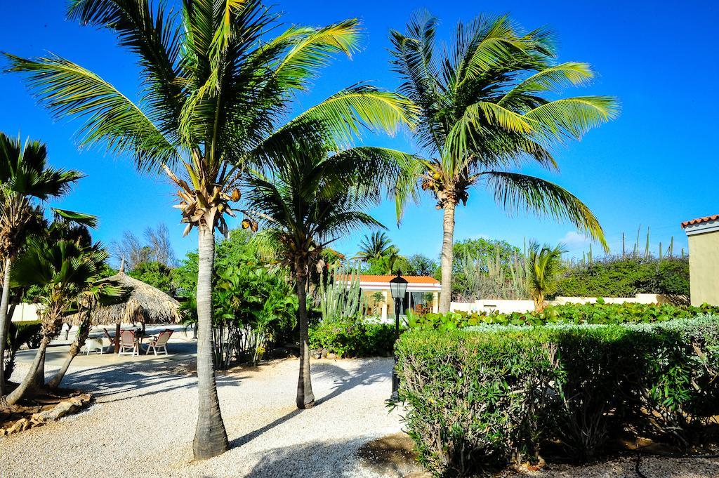 Paradise & *