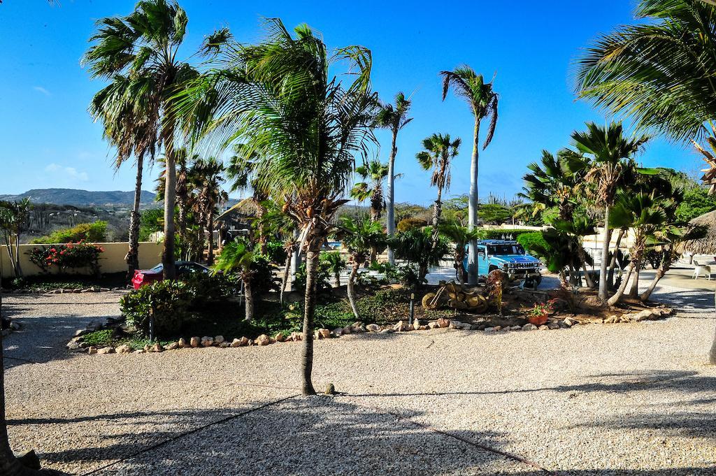 Paradise & Apartment