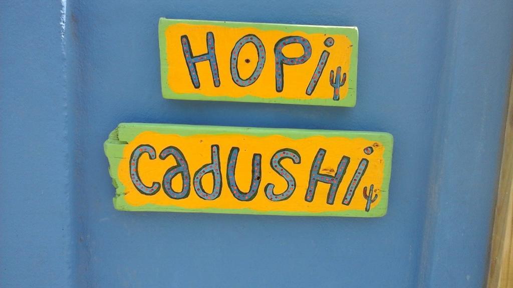Hopi Cadushi Santa Cruz