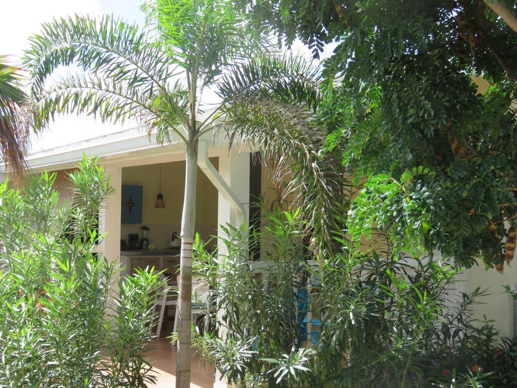 Mangooz Bed & Breakfast *