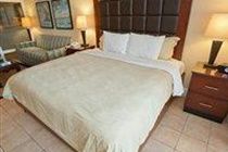 Divi Studio Apartamento