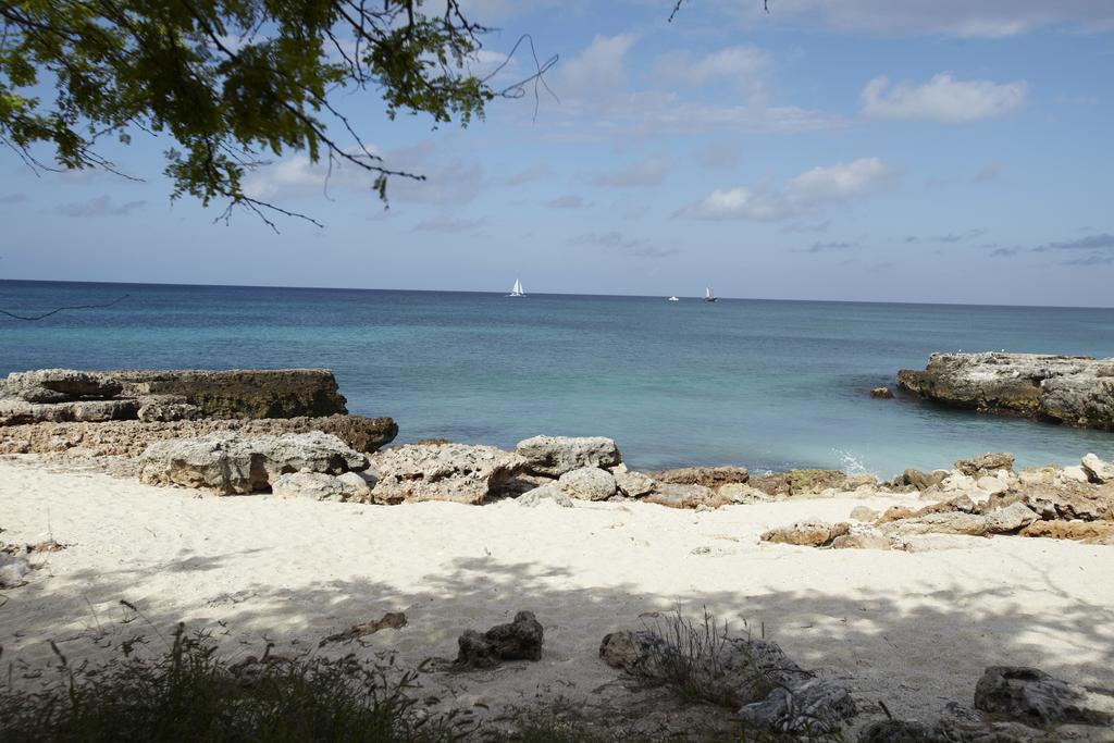 Villa Bougainvillea Aruba, The Tango *