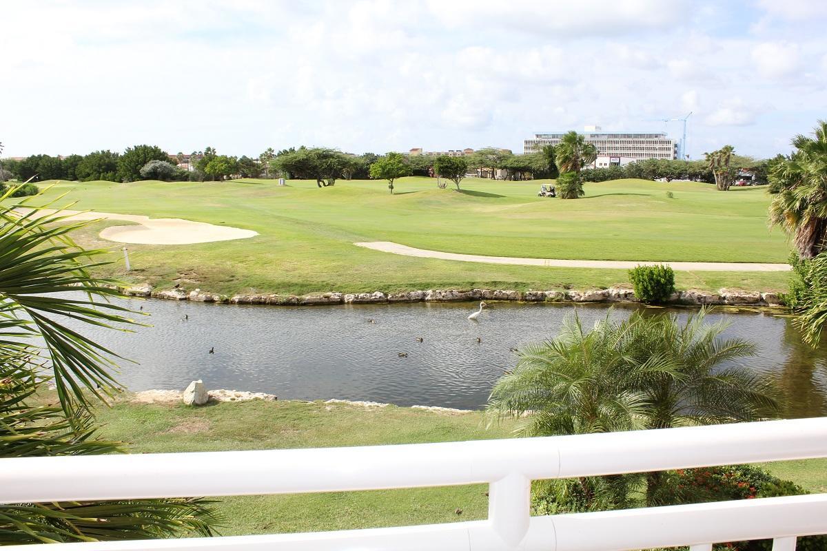 Divi Studio * Palm Beach