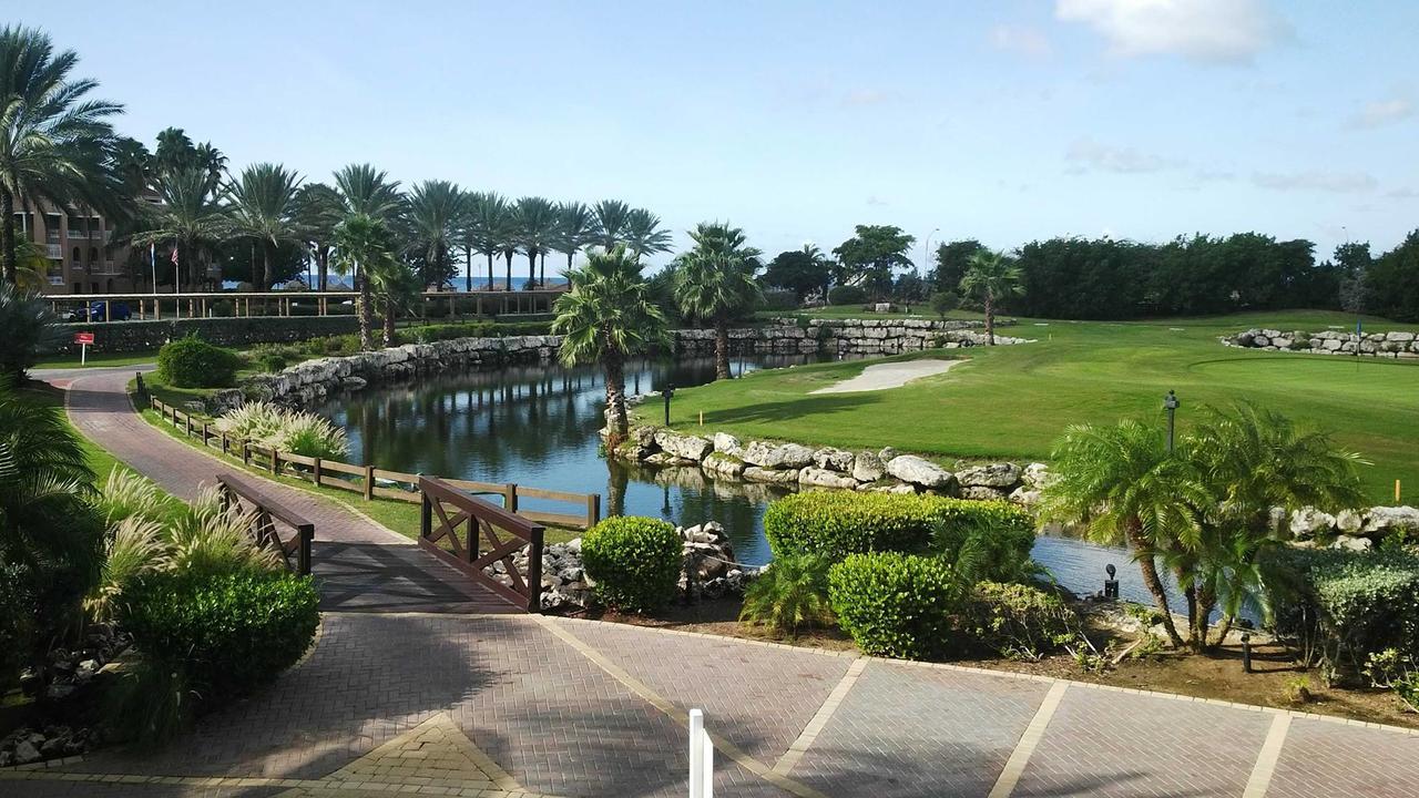 Executive Real Estate At Divi Golf 4* Oranjestad