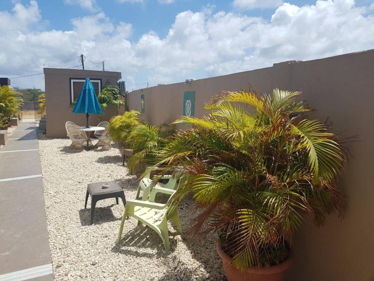 Xanthys 4 Large Apt @ Best Price Close To Beach Apartment Noord