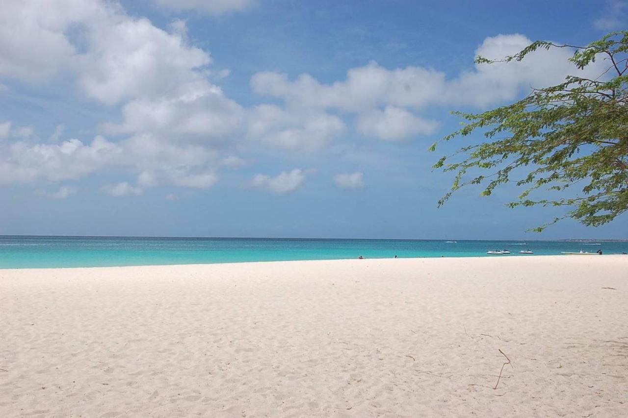 Xanthys 4 Large Apt @ Best Price Close To Beach * Noord