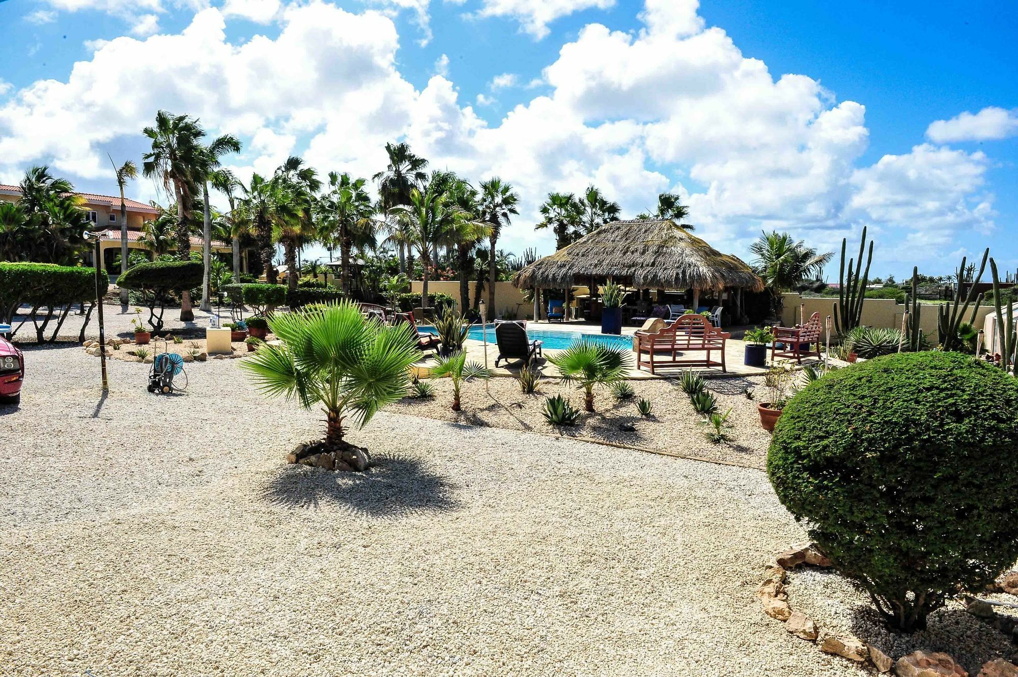 Paradise & Apartment *