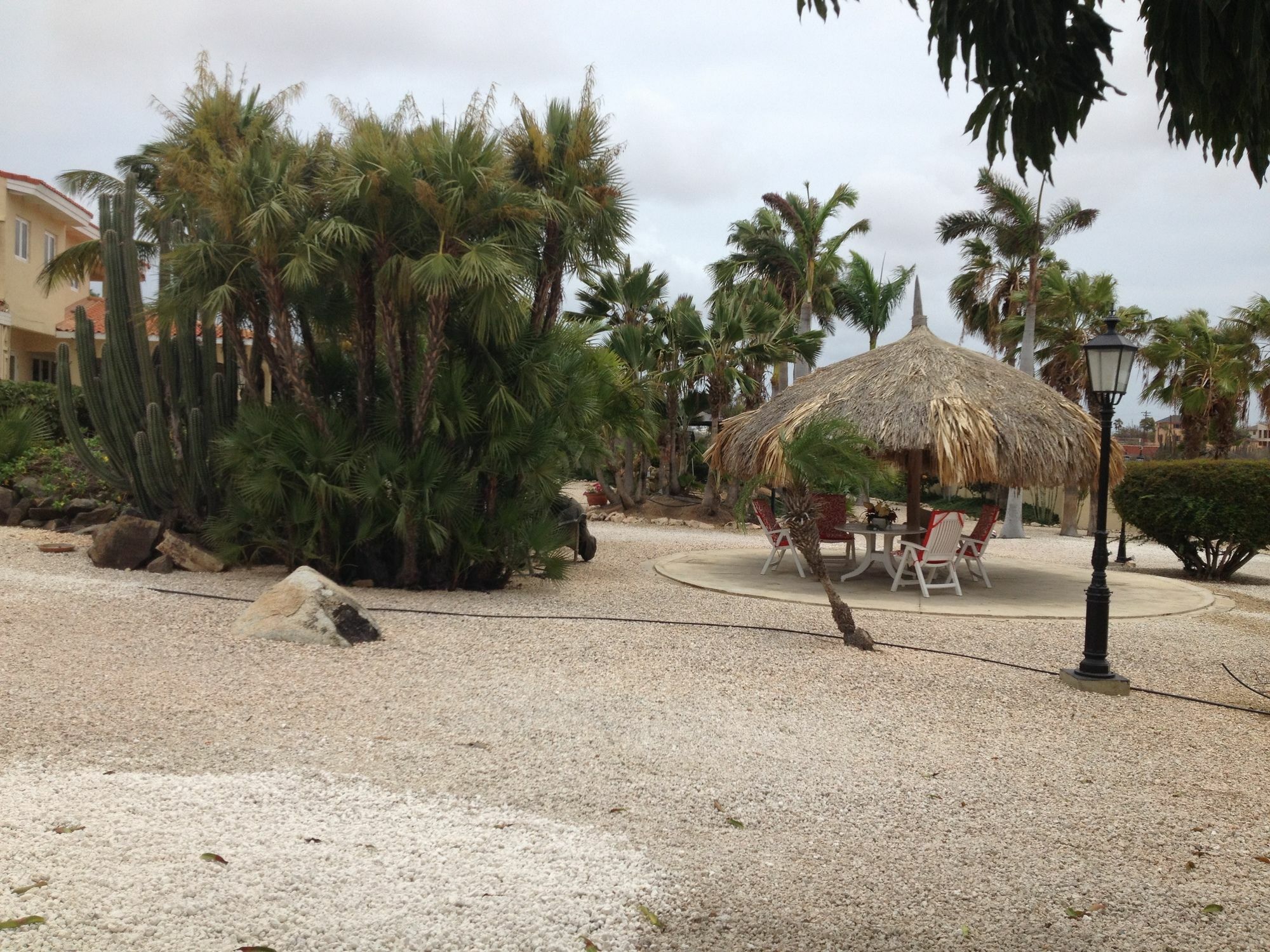 Paradise & * Oranjestad