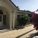 The Palm Studios